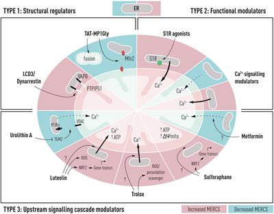 The Potential of Small Molecules to Modulate the Mitochondria–Endoplasmic Reticulum Interplay in Alzheimer’s Disease